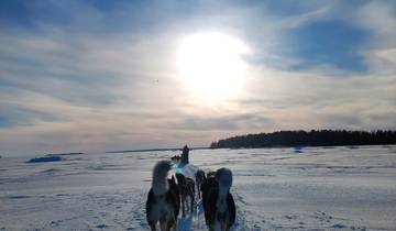 Winterwoche in Lapplands Scharenwelt