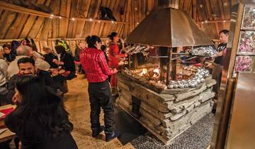 Aurora Borealis ervaring, postschip en sneeuwhotel
