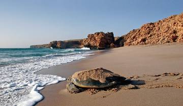 Oman erfahren - Mit dem Allrad durch grandiose Landschaften