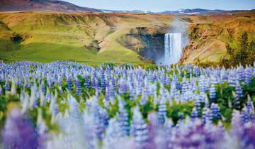 Island - ein Land zum Traumen