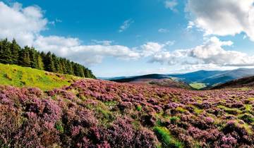 Hohepunkte rund um Dublin