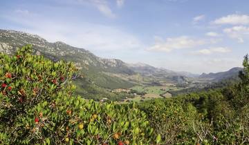 7 Day Mallorca Itinerary, incl. Serra de Tramuntana and Soller