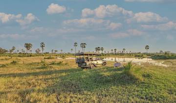 Wildlife experience with andBeyond Botswana