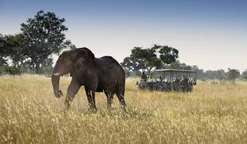 Tiererlebnis mit andBeyond Botswana