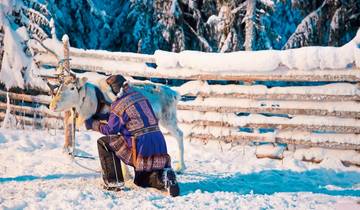 Finnische Winterwoche in der Arktis