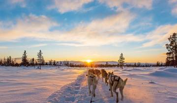 8 Day Finnish Lapland Itinerary, incl. Ivalo and Arctic Activities