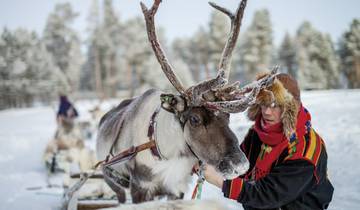 Semaine d'hiver finlandaise dans l'Arctique