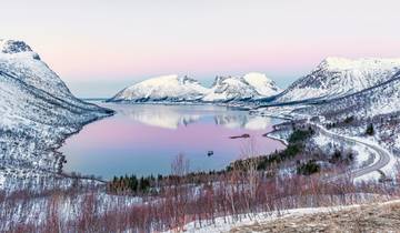 La vie sauvage, les aurores boréales et le paradis naturel de Senja