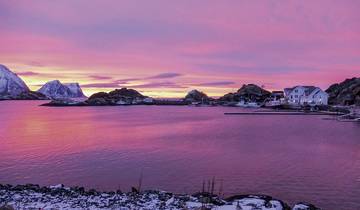 Wilde dieren, noorderlicht en het natuurparadijs Senja