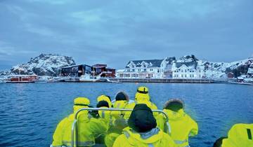 Wildlife, northern lights and the natural paradise of Senja Tour