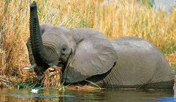 ADAC Special: Namibia, Botswana, Zimbabwe - In the footsteps of David Livingstone