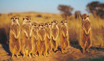 ADAC Special : Namibie, Botswana, Zimbabwe - Sur les traces de David Livingstone