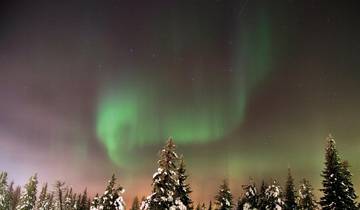 Arctic highlights - From the Arctic Ocean to the ICEHOTEL Tour