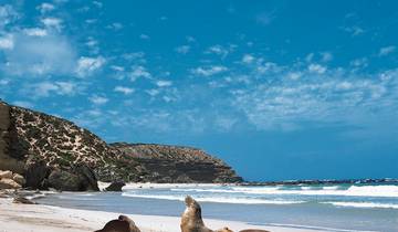 Sea Dragon Kangaroo Island & Fleurieu Peninsula