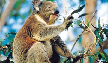 Best of Australia Rundreise