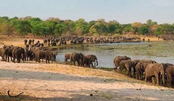 Namibia Natural Wonders & Victoria Falls