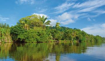 Tour des Caraïbes et de la jungle