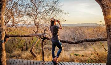 On a family safari in South Africa with More Hotels