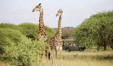 Les parcs animaliers les plus respectueux