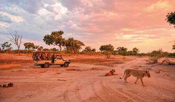 Safari Highlights im Herzen Afrikas