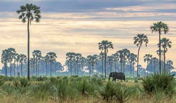 Botswana und Simbabwe zum Traumen