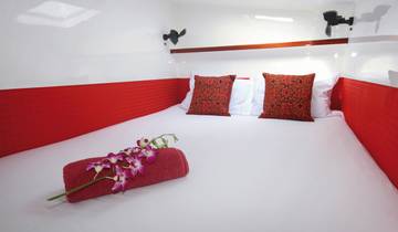 Catamaran Amadeus circuit
