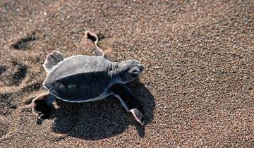 Costa Rica - Active & Relaxing Tour