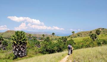 4 Day Komodo & Flores Itinerary, incl. Labuan Bajo and Rinca Island