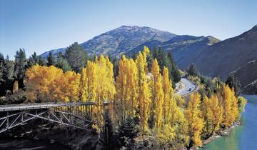 At home in New Zealand Tour