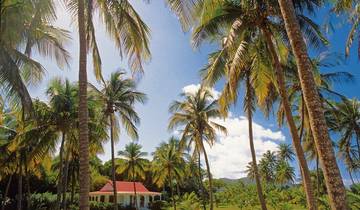 100% Guadeloupe - Butterfly Island experience