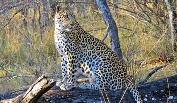 South Africa a la carte Tour