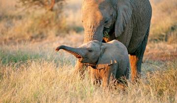 South Africa a la carte Tour