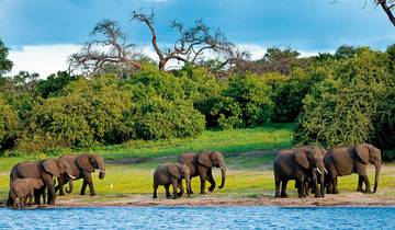 Earthmen, elephants, the delta and the falls Tour