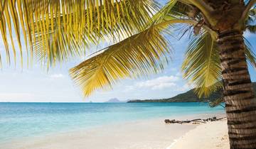 100 % Martinique - Erlebnis Blumeninsel Rundreise