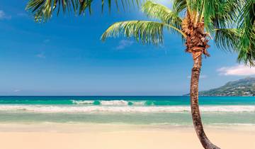 Jamaica's colorful diversity