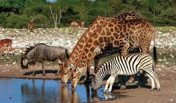 Namibia rich in contrast Tour