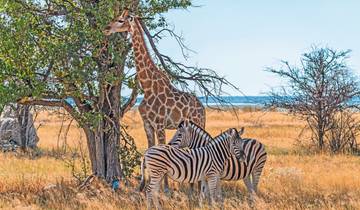 Namibia rich in contrast Tour
