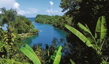 Jamaica on your own