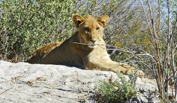 Three Countries: Namibia, Botswana and Zimbabwe Tour