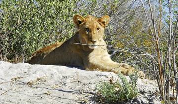 Three Countries: Namibia, Botswana and Zimbabwe Tour