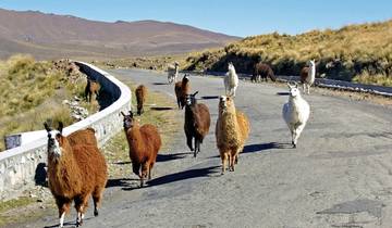 Sagenhafte Naturschatze im Norden Argentiniens