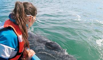 Bus Tour Baja California