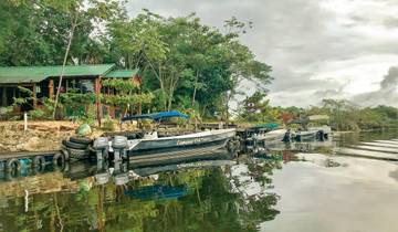 Lodge de la jungle Lamanai Outpost