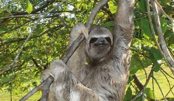 Highlights of Costa Rica 13 nights) Tour