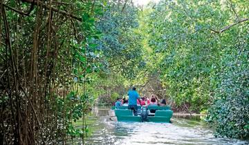 Discover Trinidad Tour