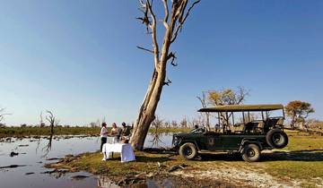 Botswana from Zimbabwe: Into the Heart of Africa Tour