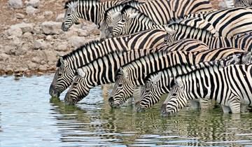 Safari aérien en Namibie circuit