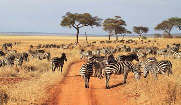 1-day Amazing Tour Tarangire National Park Safari - Kilimanjaro