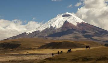 Entdecker Kolumbien, Peru, Ecuador und Galapagos Inseln