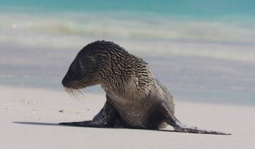 Les points forts des Galápagos - 14 jours